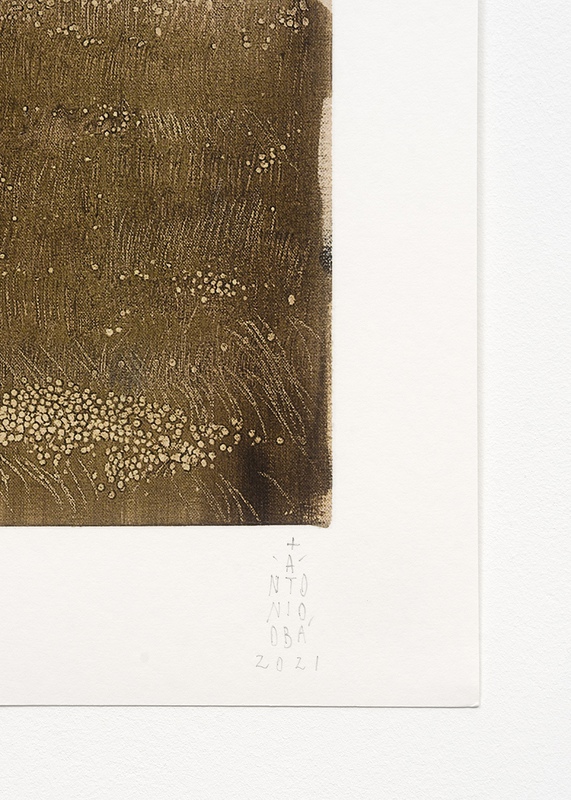 view:78562 - Antonio Obá, Eucalipto- corpo electrico - 