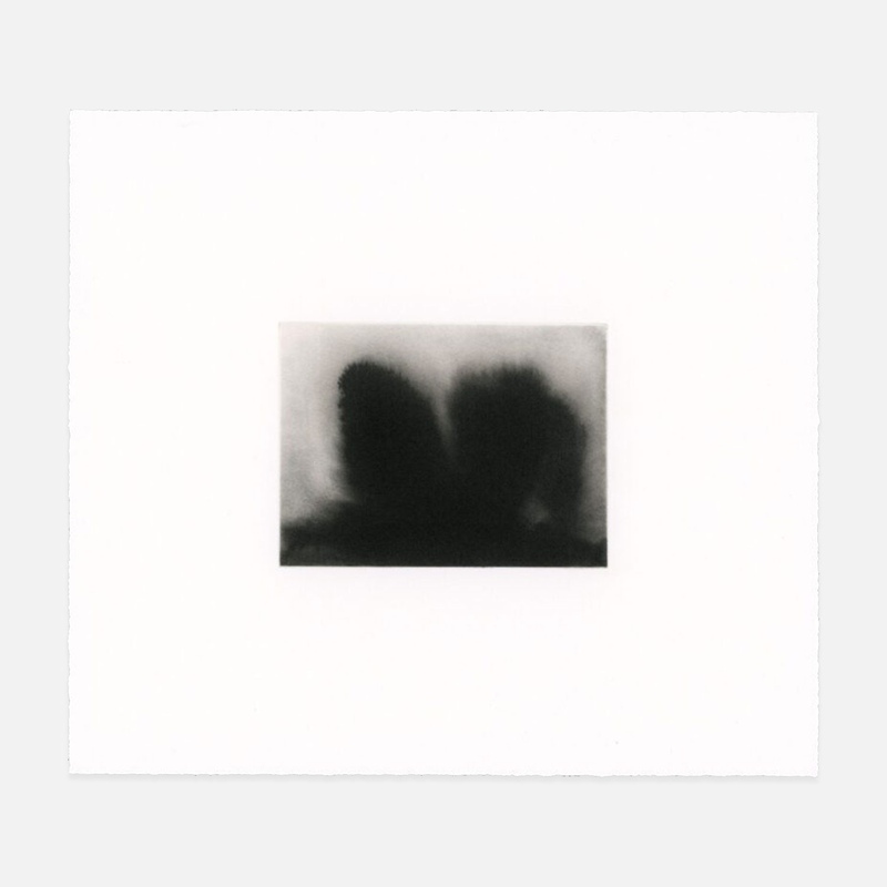 exhibition - Shelter