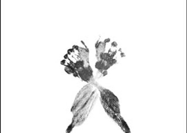 work by Aura Rosenberg - tied up #:9118