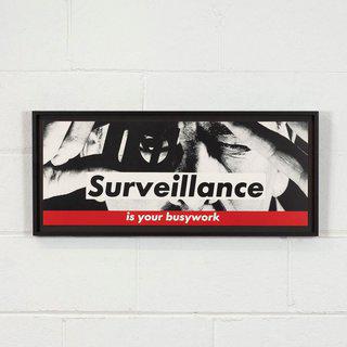 Barbara Kruger, Surveillance