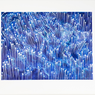 Barbara Takenaga, Rising