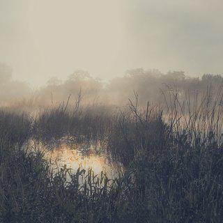 Barry Cawston, Reed Beds