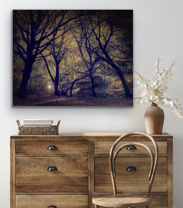 view:53261 - Barry Cawston, Lantern in the forest - 
