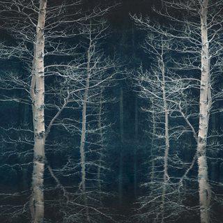 Barry Cawston, Blue Forest