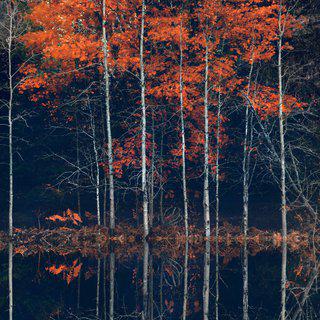 Barry Cawston, Blood and Water