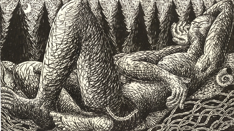 exhibition - Pines