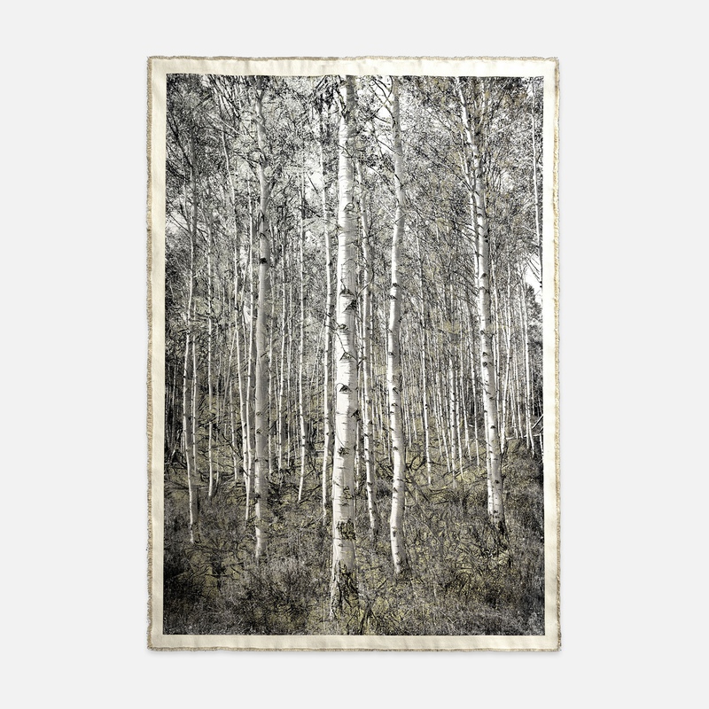 Aspens at Redfish Lake