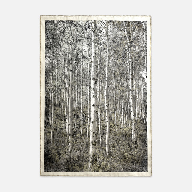 Bill Claps - Aspens at Redfish Lake, Mixed Media