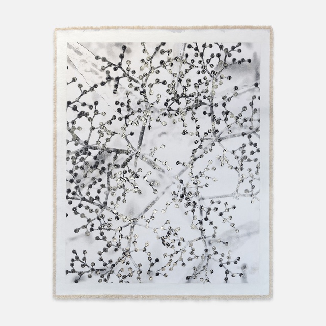 Bill Claps - Holunder in Soglio, Mixed Media