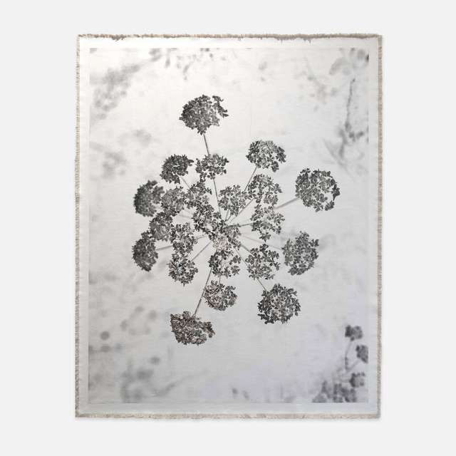 Bill Claps - Augenwurz, St. Moritz, Positive Version, Mixed Media
