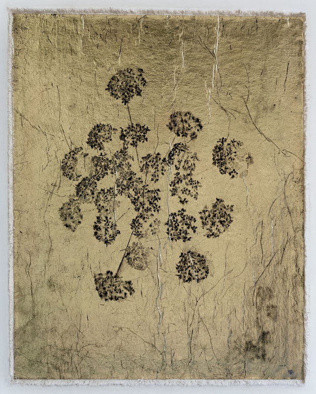 view:89476 - Bill Claps, Augenwurz, St. Moritz, negative version - 