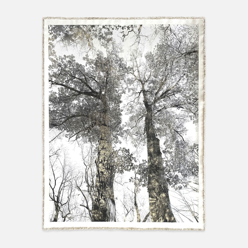 Van Cortlandt Oaks I