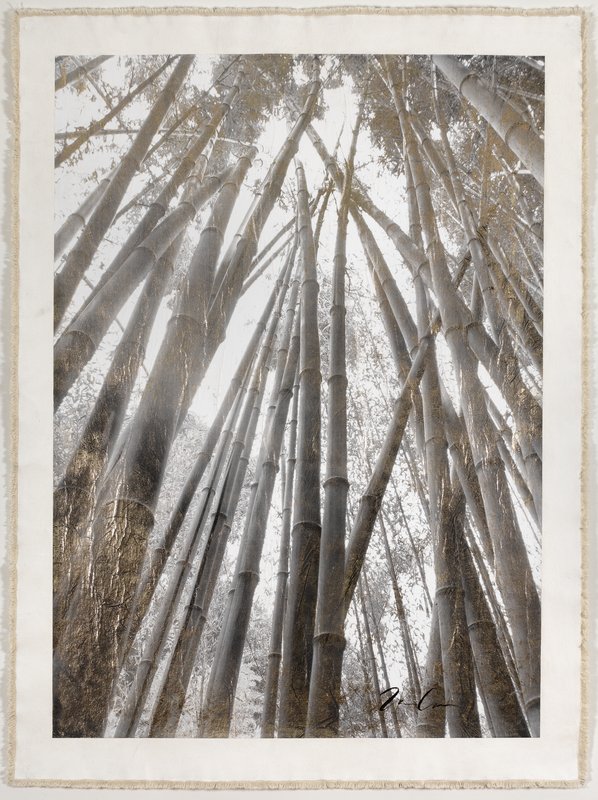 Bamboo Forest Canopy (small), 2015 is available on Artspace for $900