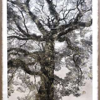 Shofukuji Temple Tree art for sale