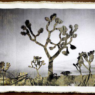 Joshua Trees at Sunset art for sale