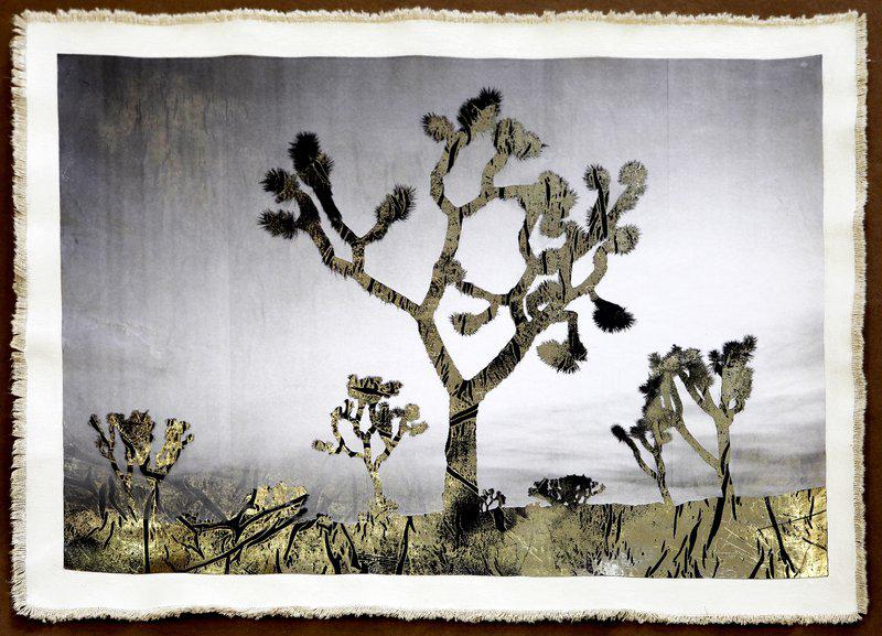 Joshua Trees at Sunset