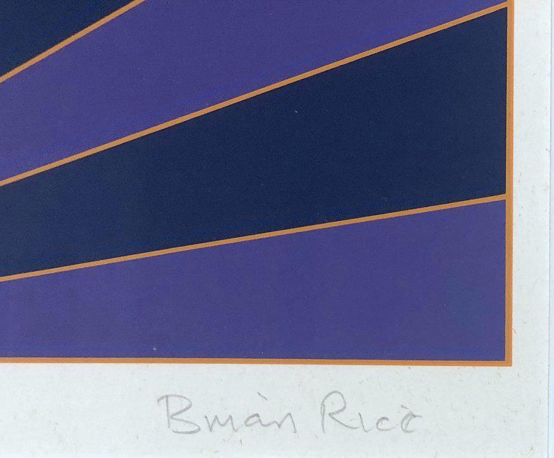 view:50620 - Brian Rice, Geometric Illusion - 