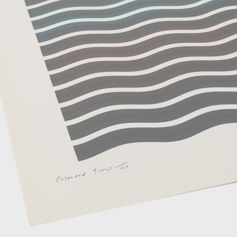 view:82379 - Bridget Riley, Coloured Greys (2) - 