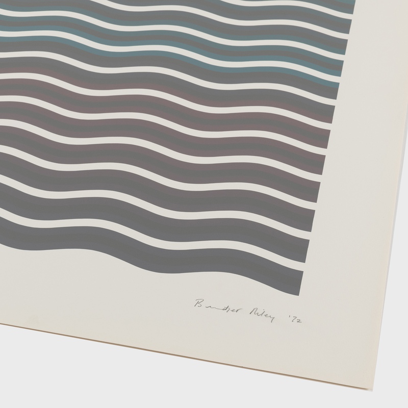 view:82380 - Bridget Riley, Coloured Greys (2) - 