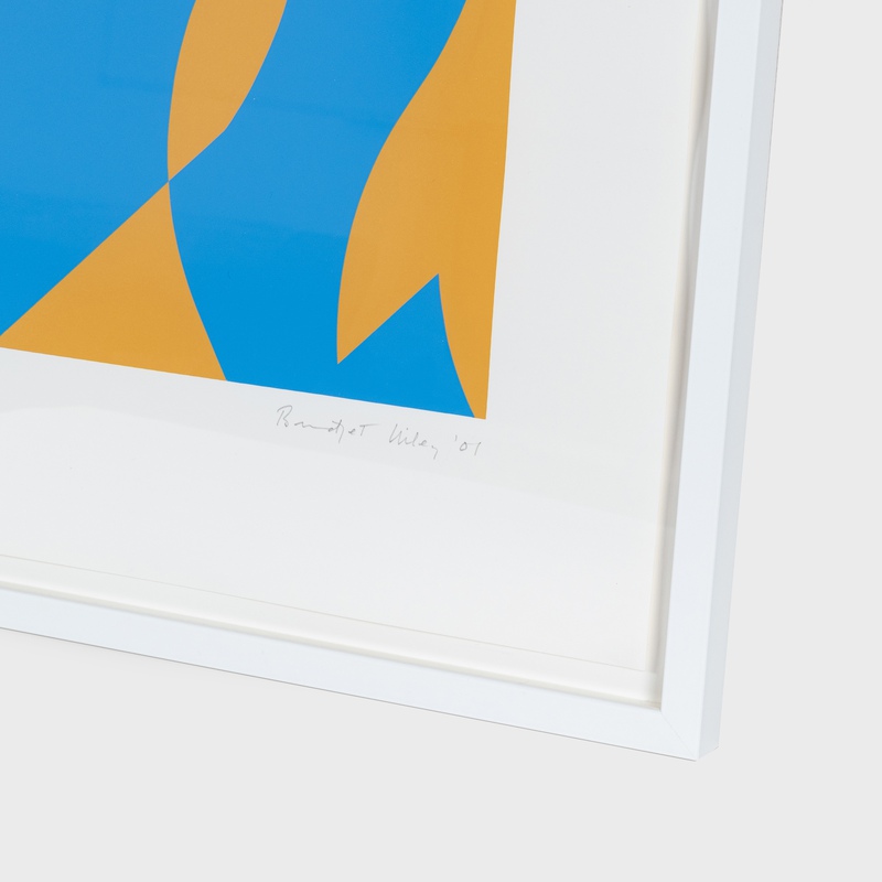 view:88349 - Bridget Riley, Going Across - 