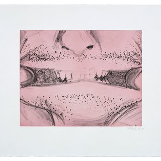 Soft Ground Etching - Rose art for sale