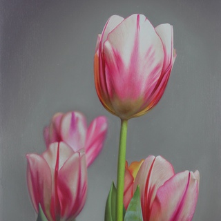 Tulips III art for sale