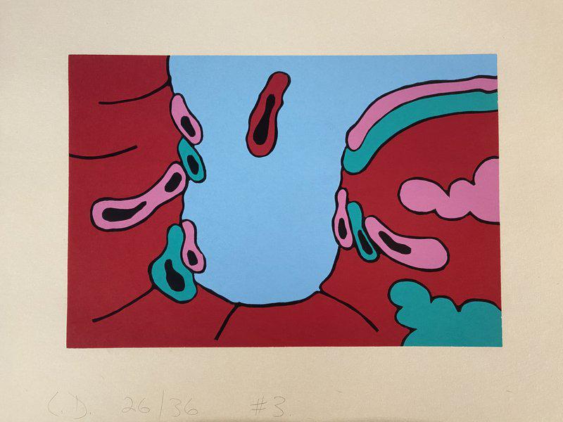 view:47881 - Carroll Dunham, Places and Things - 
