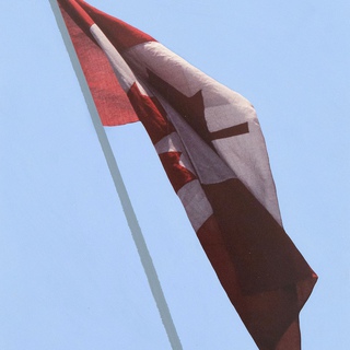 Charles Pachter, Painted Flag: Preparatory #2B