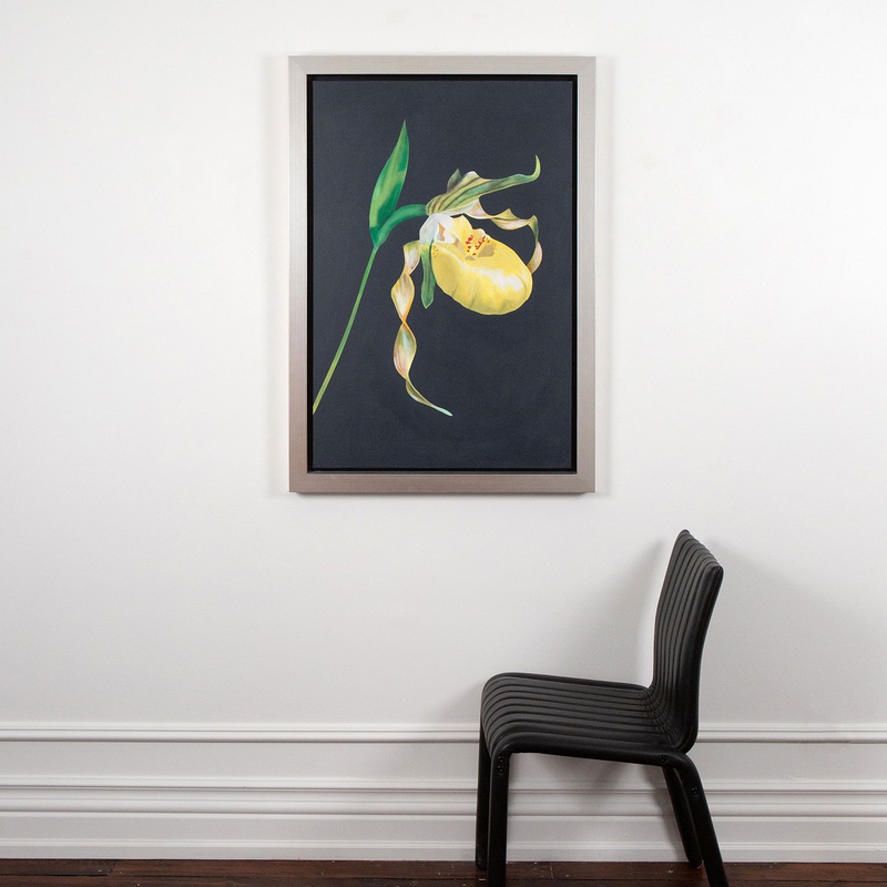 view:69197 - Charles Pachter, Lady's Slipper - 