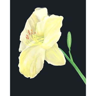 Charles Pachter, Day Lily, Grange Park