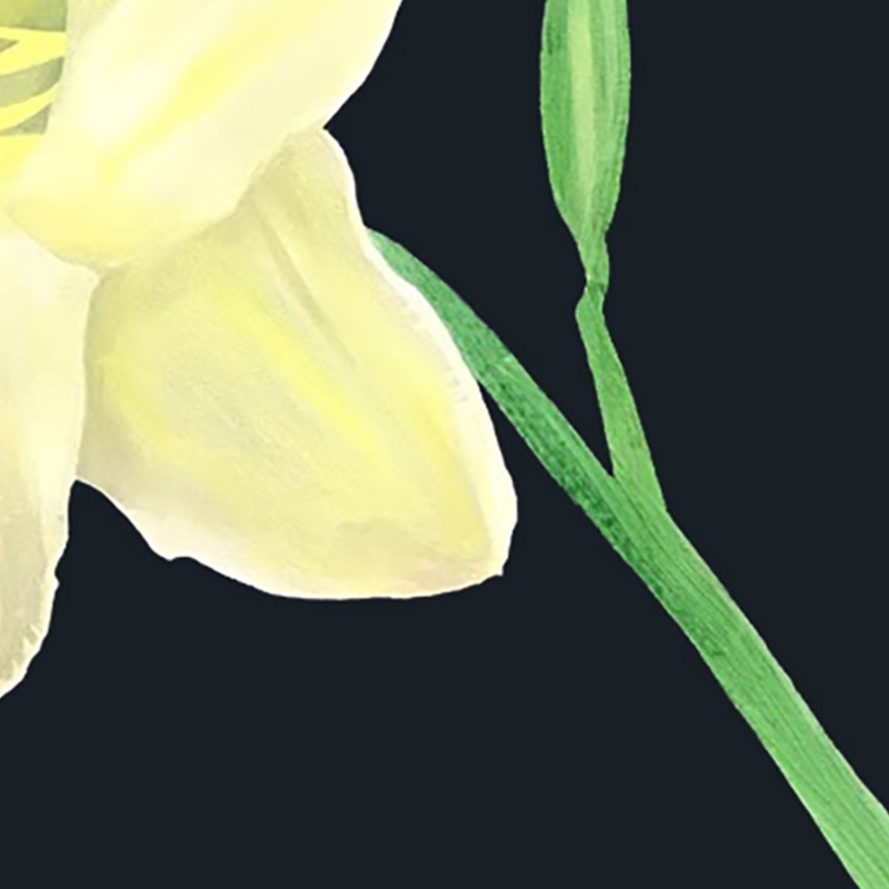 view:69179 - Charles Pachter, Day Lily, Grange Park - 