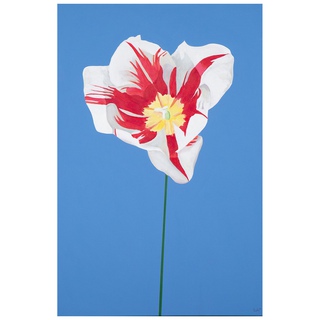 Charles Pachter, Grand Tulip