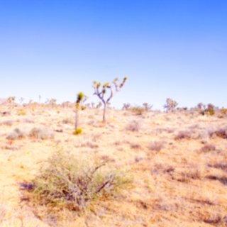 Desert Plains art for sale