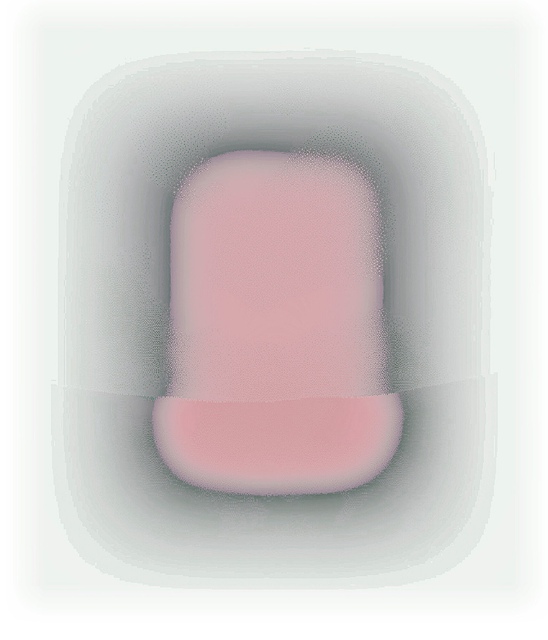 Christine Wilkinson - Botanicals Series 1 - #7, Print