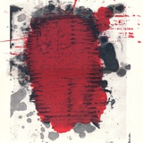 クリストファーウールChristopherWool画集（カバーはポスターへ展開可 CHRISTOPHER WOOL Limited Collector's Edition *signed