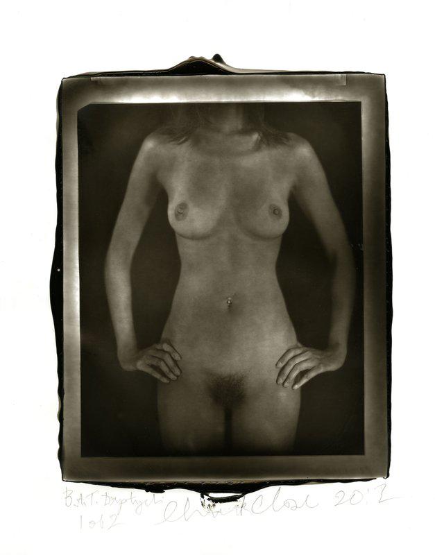 view:37081 - Chuck Close, Untitled Torso Diptych - 