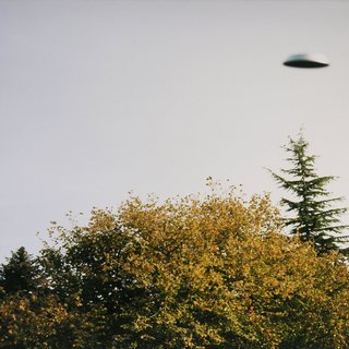 Claude Closky, Soucoupe volante, au dessus des arbres  (7) / Flying saucer, above the trees (7)