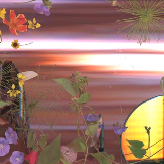 Cristina Lei Rodriguez, Staging a Florida Sunset (10/15/20, 12:06 pm)