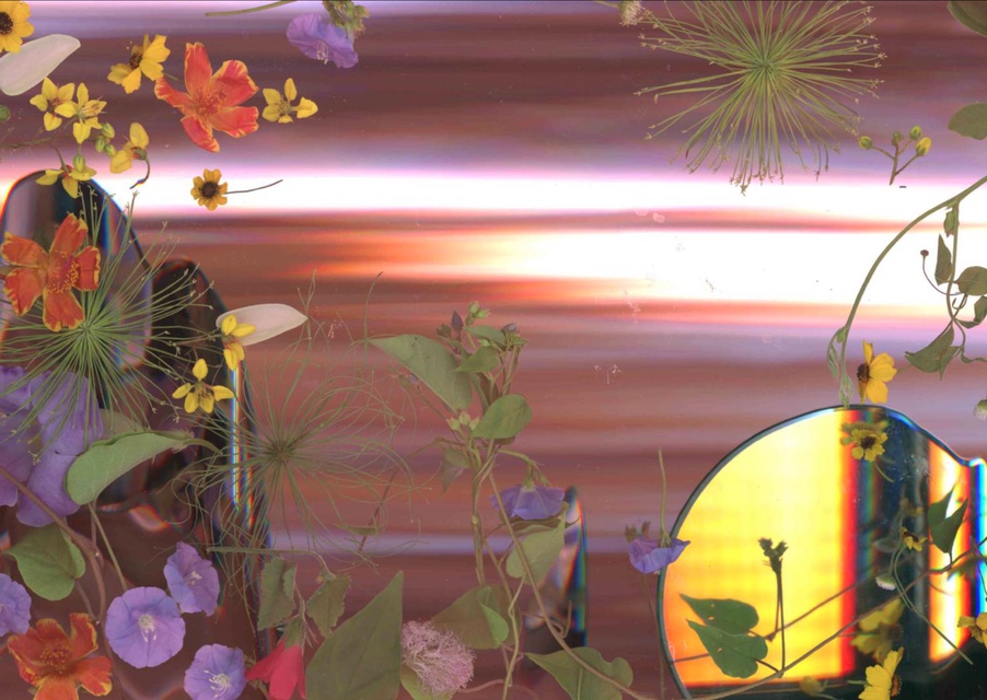 Cristina Lei Rodriguez - Staging a Florida Sunset (10/15/20, 12:06 pm), Print