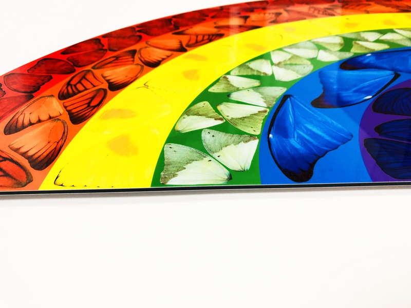 view:71579 - Damien Hirst, Damien Hirst, H7-1 Butterfly Rainbow (Large) - 