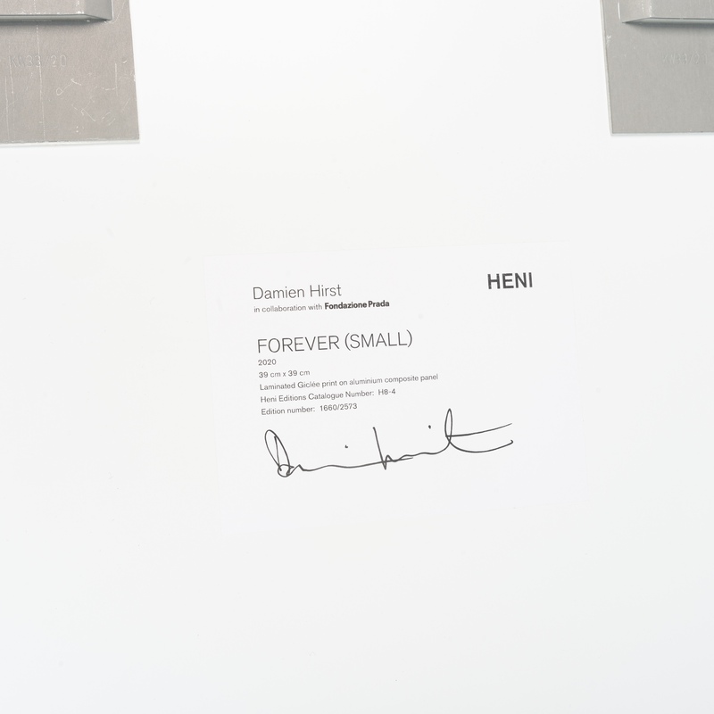 view:71546 - Damien Hirst, H8-4 Forever (Small) - 