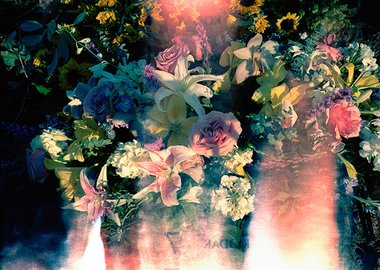 work by Daniëlle  van Ark - Untitled #:9321