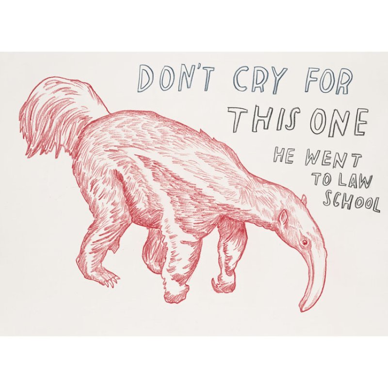 by dave-eggers - Untitled (Don't Cry for this One, He Went to Law School)