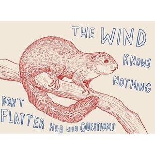 Dave Eggers, Untitled (The Wind Knows Nothing, Don't Flatter Her With Questions)