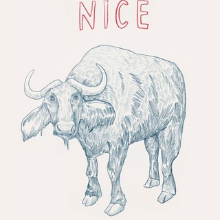 Dave Eggers, Untitled (Nice)