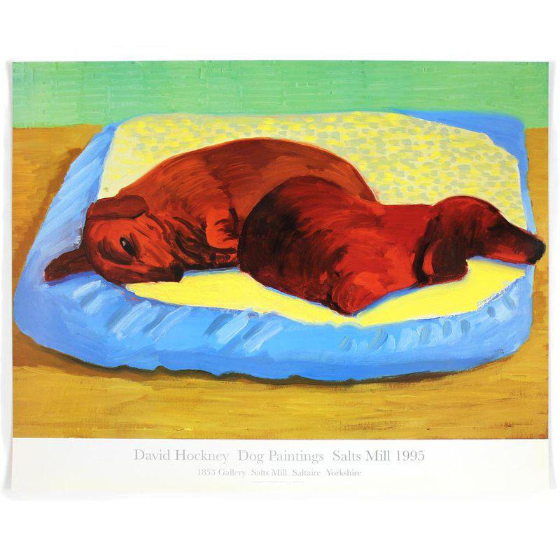 David Hockney - Dog 43 for Sale | Artspace