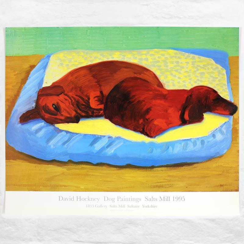 view:40831 - David Hockney, Dog 43 - 