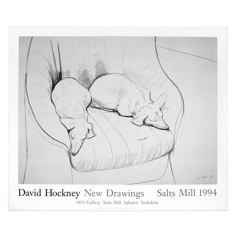 Tate Gallery, David Hockney, Little Stanley Sleeping, AFTER DAVID HOCKNEY  (b.1937)