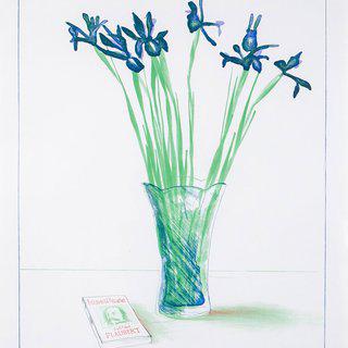 Irises art for sale