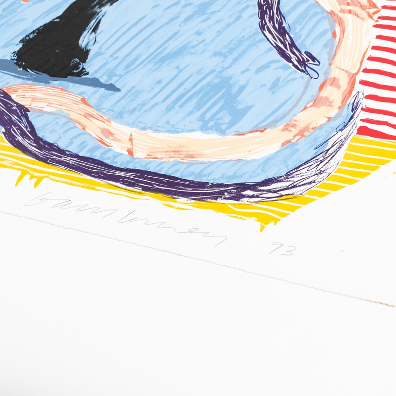 view:71352 - David Hockney, Ink in the Room, from 'Some New Prints' - 